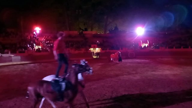 SAINT-VINCENT-DE-TYROSSE. Spectacle Landes Emotions - film 5