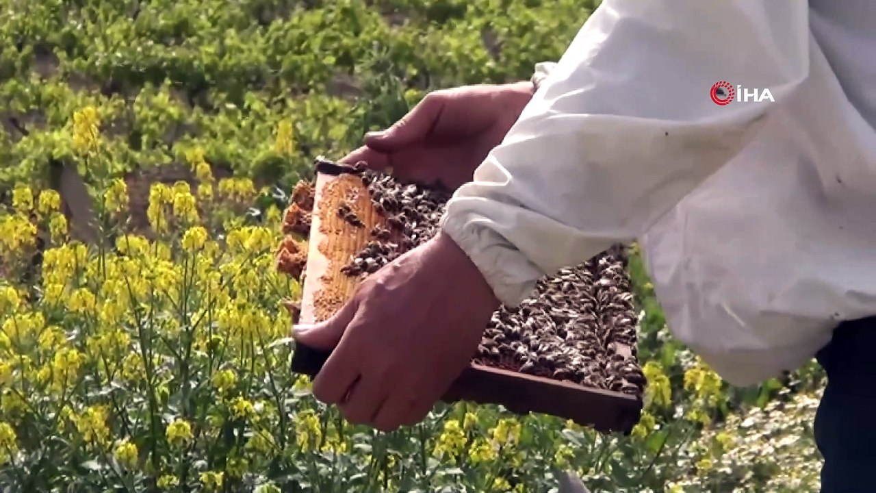 “Doğal tarım için doğal arıcılık şart”