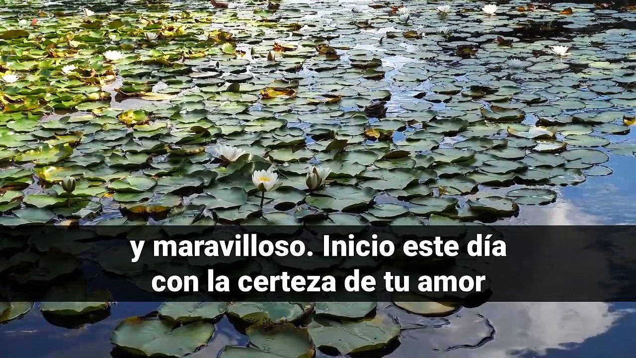 ORACION DE LA MAÑANA DEL DIA DE HOY Viernes 06 de Agosto de 2021- Oracion SEÑOR ENSEÑAME A DAR