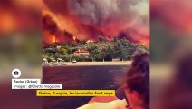 Incendies : la Grèce et la Turquie touchées par des feux parmi les pires de leur histoire