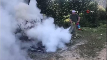 Bilinçsiz yakılan ateş ormanı yakıyordu