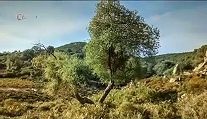 NOVELA GÊNESIS CAPITULO 132 COMPLETO - 22-07-2021 SEGUNDA