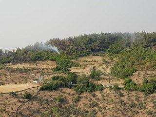 Son dakika haberleri! MİLAS'TAKİ YANGIN 7'NCİ GÜNDE; GÜRCEĞİZ MAHALLESİ'NDE ONLARCA EV KÜL OLDU