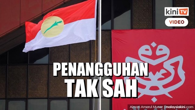 Tindakan UMNO tangguh pemilihan tak sah - ROS