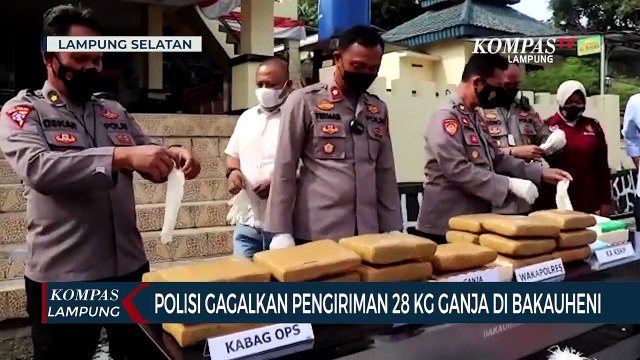 Polisi Gagalkan Pengiriman 28 Kilogram Ganja di Bakauheni