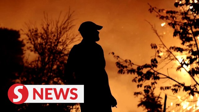 Heat rekindles wildfires near Greek capital Athens