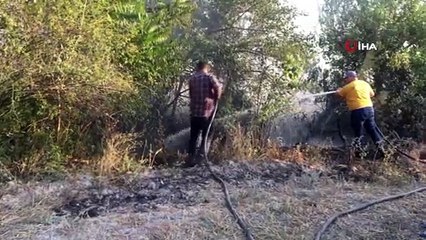 Tarladaki yangın ormana ulaşmadan söndürüldü