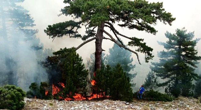 Son dakika haberleri: Kavaklıdere yangını Menteşe sınırlarında devam ediyor