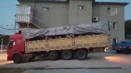 BALIKESİR - Yurda yasa dışı giren 180 yabancı uyruklu kamyon kasalarında yakalandı