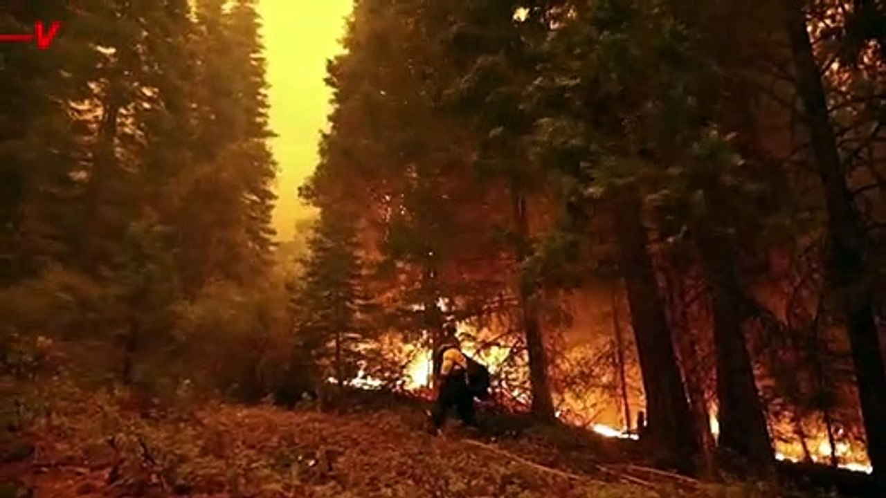 Wildfires in Greece Leave a Wake of Devastation, a Familiar Sight Around the World