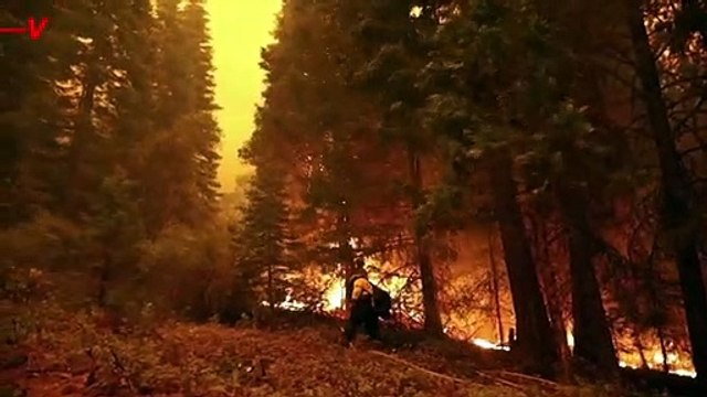 Wildfires in Greece Leave a Wake of Devastation, a Familiar Sight Around the World