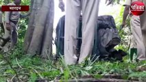 ट्रान्स गेरुआ इलाके में छोड़ी गई पिंजरे में कैद तेंदुआ