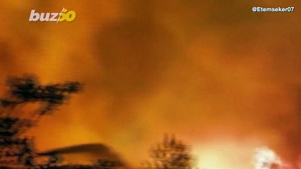 Butterfly Lands on Humanitarian Worker’s Hand, Begs for Water After Escaping Wildfire