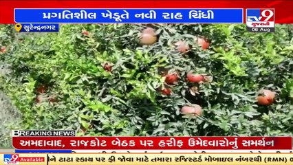 Man leaves govt job to practise farming, achieves success in horticulture. Surendranagar _ TV9News
