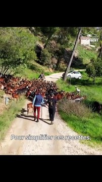 AVANT-PREMIERE - Le mardi 17 août à 21h05 sur 6ter, Norbert Tarayre revient pour de nouveaux numéros de “La grande vadrouille de Norbert” - Découvrez les 1ères images