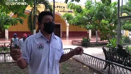 MÉXICO | Los mayas denuncian la contaminación de 'pozos sagrados' por las macrogranjas de cerdos