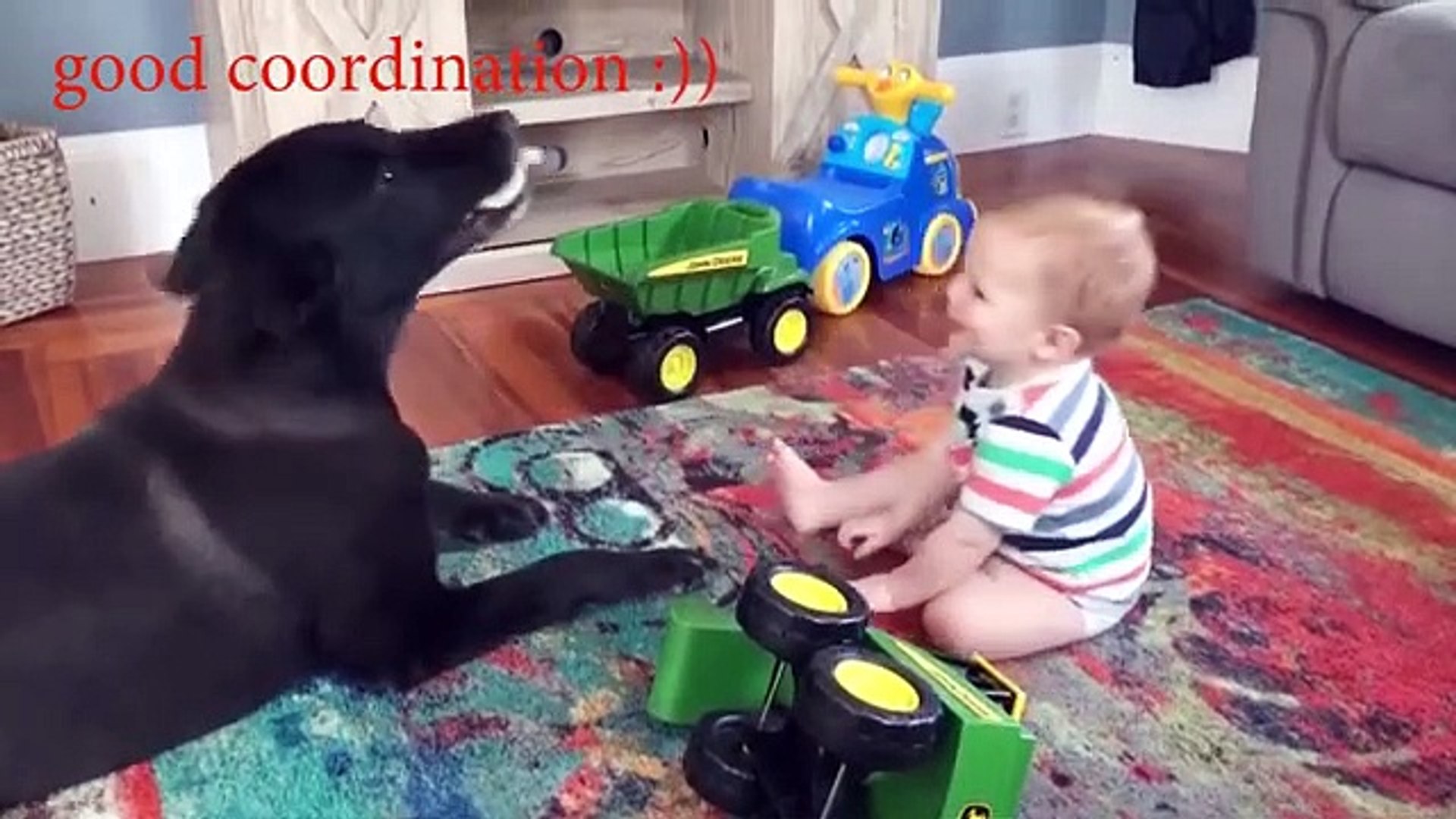 ⁣Funny pets, funny cats videos, funny animals, funny dog videos,dog grooming, adopting cat#vlog