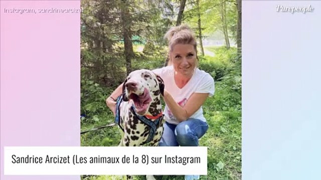 Sandrine Arcizet (Les Animaux de la 8) opérée à coeur ouvert : Je pensais vraiment mourir...