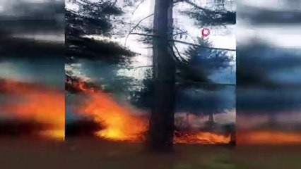 Yaylalarda çıkan yangınlar korku dolu anlar yaşattı