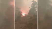 Son dakika haber | Muğla'da itfaiyecilerin orman yangınını söndürme çalışması sırasında alevlerin arasında kalması kameralara yansıdı