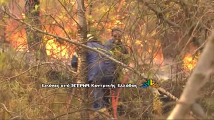 Δήμαρχος Λοκρών: Από εμπρησμό η σημερινή φωτιά στον Θεολόγο (video)