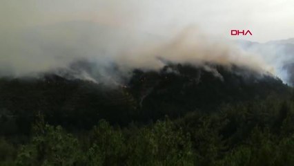 Son dakika haberleri! YANGIN RÜZGARIN ETKİSİYLE BÜYÜDÜ