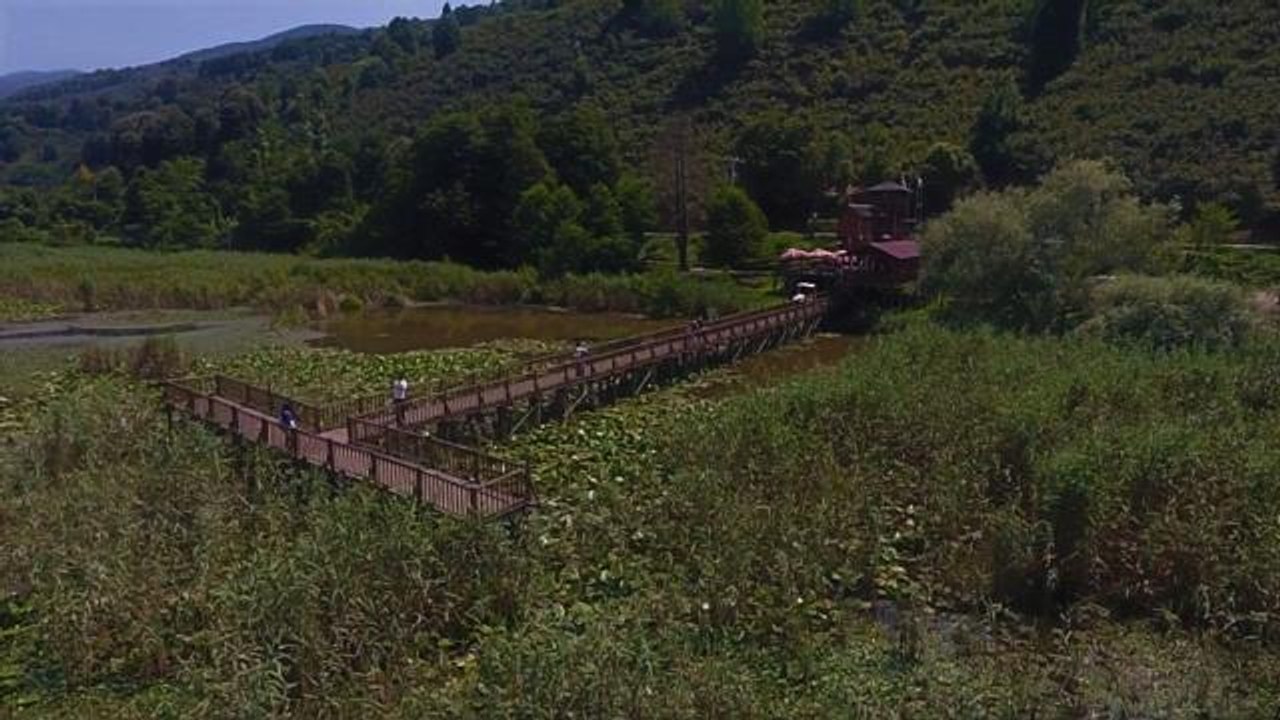 "Efteni Kuş Cenneti" drone ile görüntülendi
