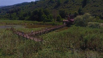 "Efteni Kuş Cenneti" drone ile görüntülendi