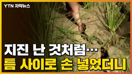 [자막뉴스] 마치 지진 난 것처럼...벌어진 틈 사이로 손 넣었더니 / YTN