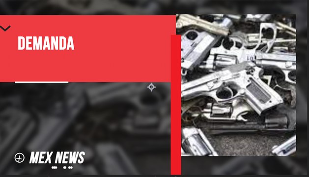 DEMANDA CONTRA FABRICANTES DE ARMAS EN EEUU NO ES INJERENCIA