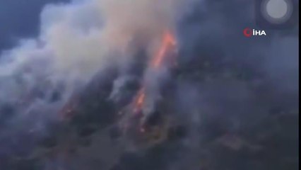 Osmaniye'de orman yangını başladı