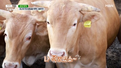 최고의 맛과 품질을 위해 노력하는 고흥한우!