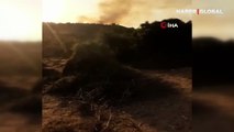Çanakkale Ezine'de orman yangını çıktı
