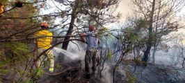 Ezine'de orman yangını çıktı