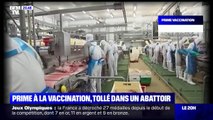 La société Cooperl, leader français de la filière porcine, propose 200 euros de prime à ses salariés vaccinés