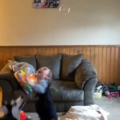 Husky and Son Popping Bubbles Together