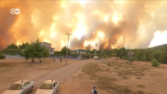 Небывалые лесные пожары в Турции и на юге Европы