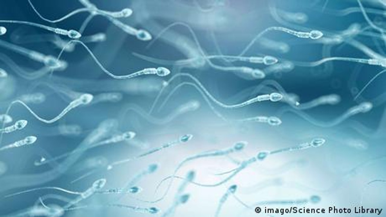 Better Bites für besseres Sperma