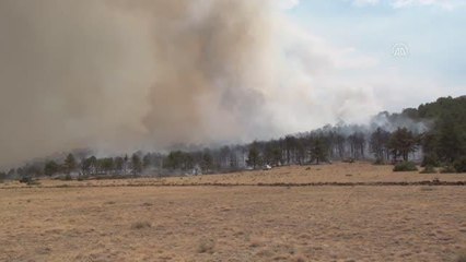 Son dakika haberi... Tefenni'de çıkan orman yangını kontrol altına alındı
