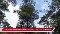 CHP'li Alban yangın söndürme uçağını böyle görüntüledi: 