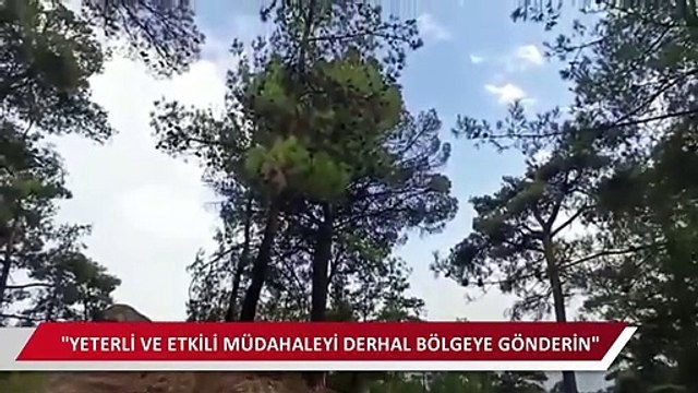 CHP'li Alban yangın söndürme uçağını böyle görüntüledi: Bizimle dalga mı geçiyorsunuz?