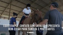 Equoterapia: contato com cavalos representa bem-estar para família e praticantes