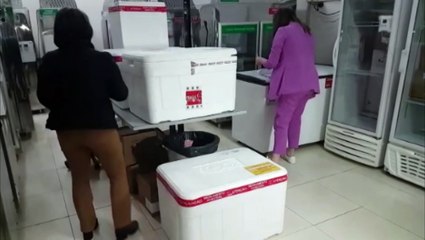 Nova remessa de doses da vacina contra a Covid-19 chega a Cascavel