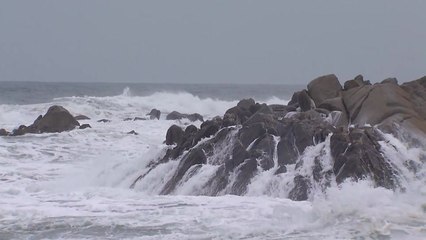 태풍 '루핏'·'미리내' 북상 중...우리나라 피해 없나? / YTN