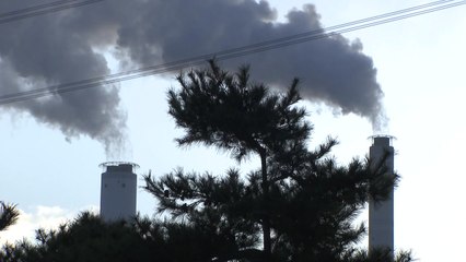 2050년 산업분야 탄소배출 80%↓ 목표...경제계 "기업 경쟁력 약화" / YTN