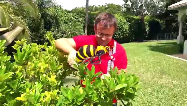 Diana play with Dad - Fun storybook for kids