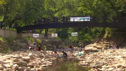 [날씨] 무더위 피해 계곡으로...휴일도 찜통더위 속 소나기 / YTN