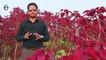 Bahria Town Phase 8 Rose Garden  | 5 Marla Plot for Sale in Bahira Town | Advice Associates