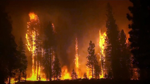 Alarm in Kalifornien: Dixie-Feuer drittgrößter Brand in der Geschichte