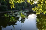 Gaziantep Botanik Bahçesi, ziyaretçilerini dünyanın dört bir yanındaki bitkilerle buluşturuyor